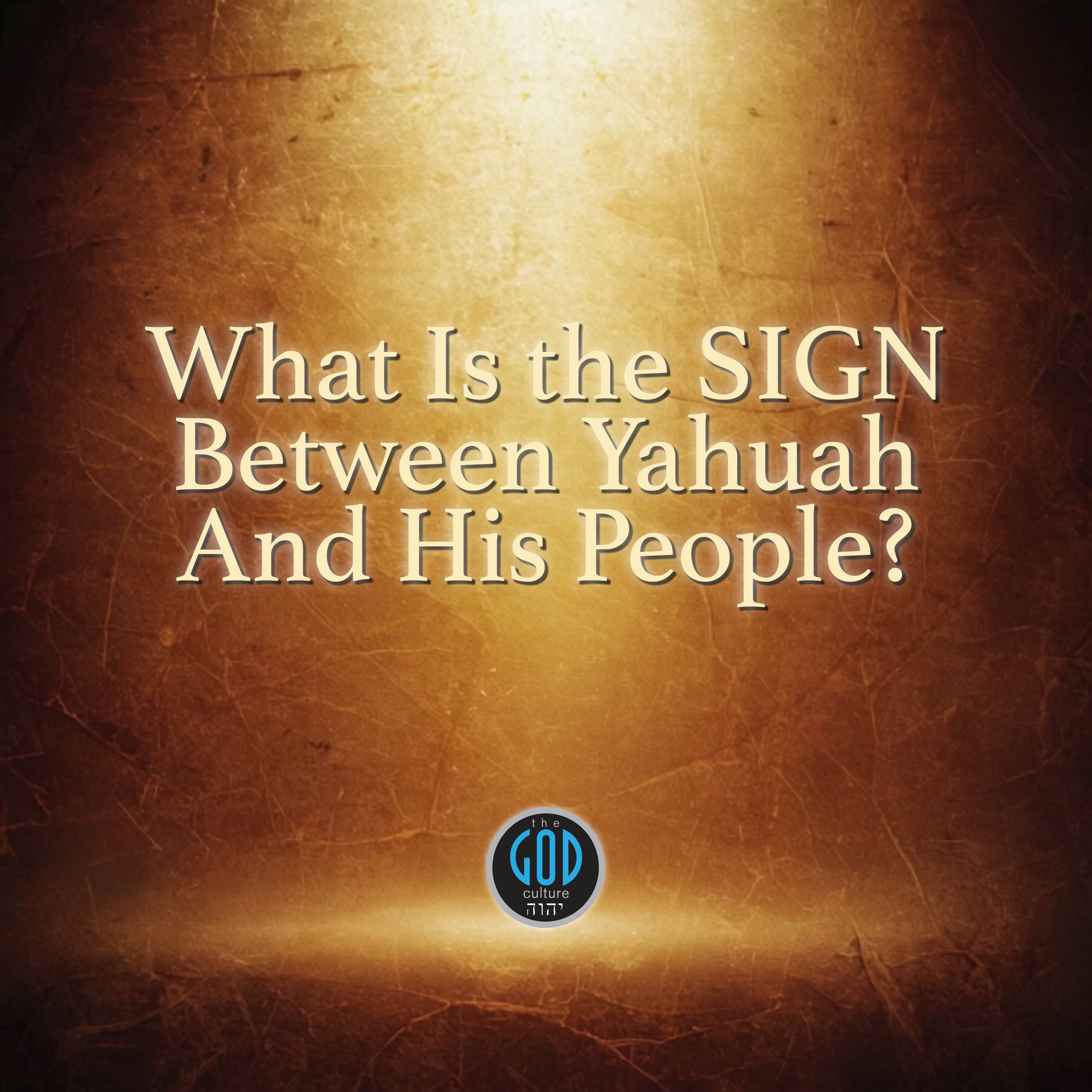 Who Lived in Qumran? The Dead Sea Scroll Discovery That Changes Everything!